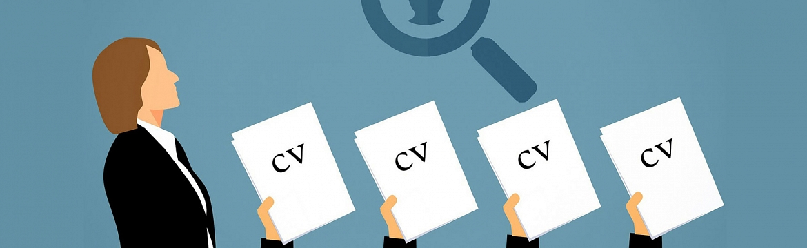 educacin conocimiento desocupacin y empleo