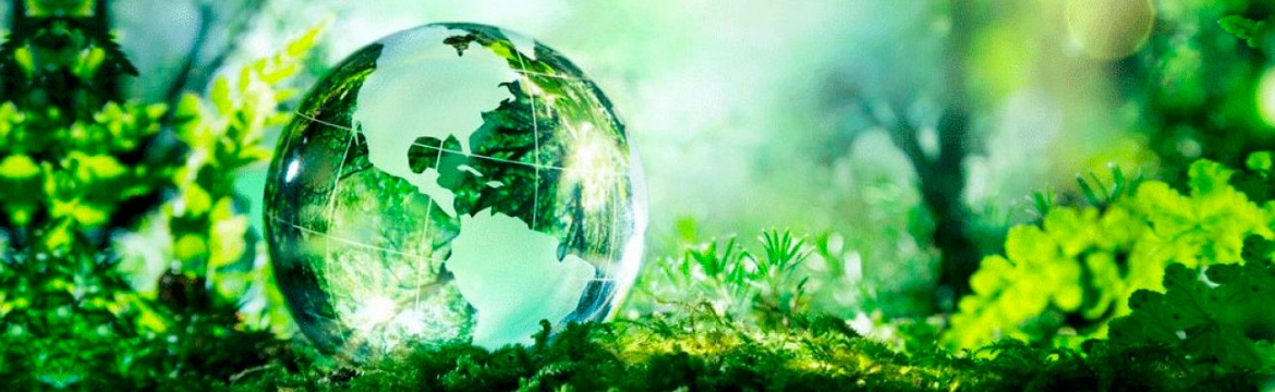 medio ambiente y contaminacin