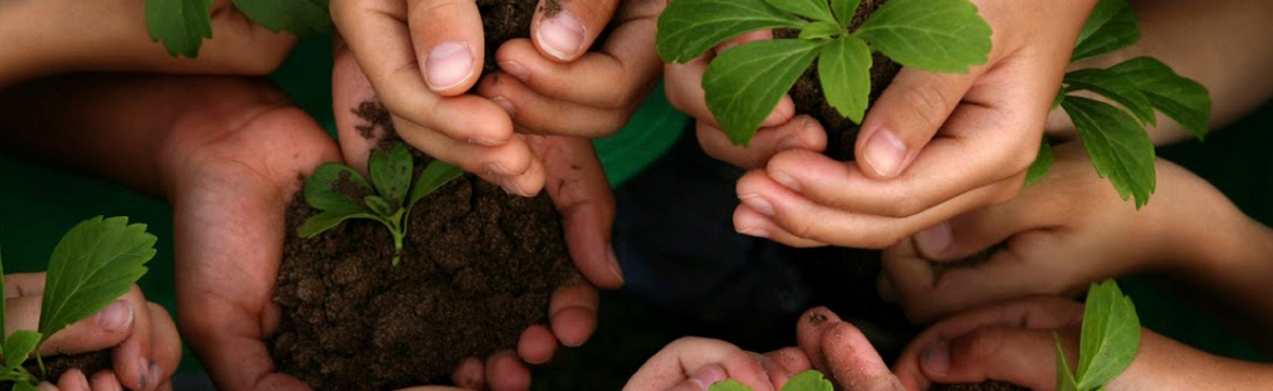 medio ambiente y contaminacin